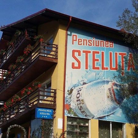 Pensiunea Steluta Predeal Exteriér fotografie