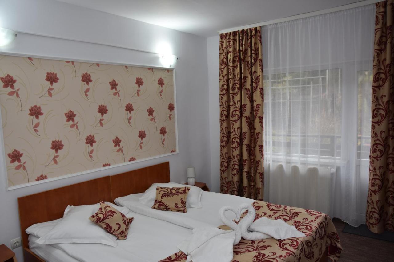 Pensiunea Steluta Predeal Exteriér fotografie
